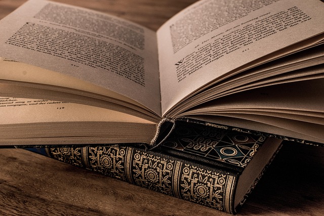etudiant revisions examens 2026 - Pixabay